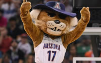 How To Bet On The Arizona Wildcats