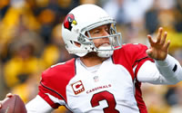 Carson Palmer Injury Tempers Cardinals Playoff Hopes